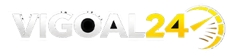 vigoal24.com
